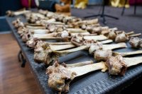 В Туве победителем Первого состязания по скоростному разбиванию хребтовой кости стал Алексей Дапый-оол