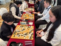 Россияне - игроки в го из Республики Тыва - завоевали два кубка, пять золотых, семь серебряных и две бронзовые медали на турнире в Южной Корее