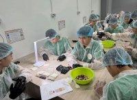 В Туве в 2026 году планируют открыть 24 агрокласса