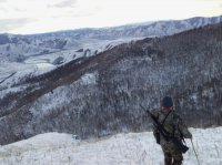 10 особей волка добыто охотниками Тувы за одну неделю 