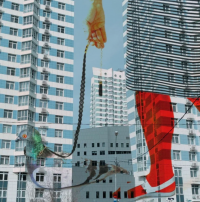 Принимаются работы на фотоконкурс "Свет и цвет"