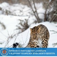 В ночь на 27 февраля в Туве ожидается до -40°С