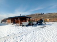 Тува планирует закупить 150 коров молочных пород из соседней Хакасии