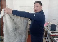 В отдаленном Монгун-Тайгинском кожууне Тувы возрождают технологию ремесленной переработки шкур