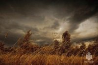 В Туве штормовой ветер продолжит бушевать в субботу 18 апреля