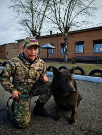 Полиция Тувы ищет новых хозяев служебным овчаркам-пенсионерам