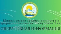 В Туве количество лесных пожаров увеличилось до семи