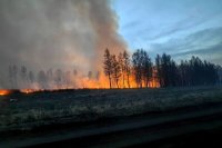 Глава Тувы Ховалыг: из-за сложной пожарной обстановки введен режим ЧС