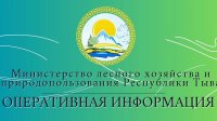 Шесть из семи действующих лесных пожаров в Туве на площади почти 3000 га возникли из-за людей