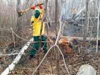 Федеральная служба авиалесоохраны нарастила группировку в Туве до 112 парашютистов
