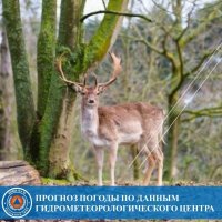 Сегодня по Туве возможен снег, температура до +14°С