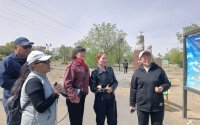 Спецбиблиотека Тувы провела для читателей сканди-экскурсию
