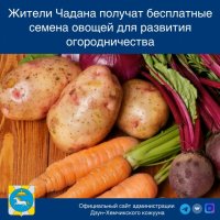 Жители Чадана получат бесплатные семена овощей для развития огородничества