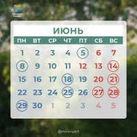 Жителей Тувы ждет короткая рабочая неделя в начале июня