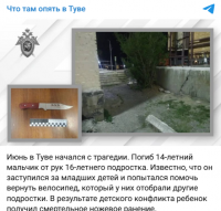 В Туве подростки камнями и ножом убили 14-летнего школьника, заступившегося за младших