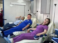 В Туве установят звание почетного донора республики