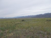 В Республике Тыва Россельхознадзор готов судиться с собственником за неисполнение предписания по очистке 79 га от сорняков