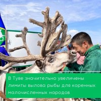 Госкомохотнадзор в десятки раз увеличил квоты на вылов рыбы для тувинцев-тоджинцев