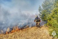 В Туве действует один лесной пожар