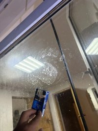 В Туве медведь наведался к работникам заповедника "Убсунурская котловина"