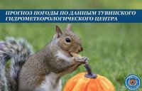 Ночью по Туве ожидаются заморозки до -7°С