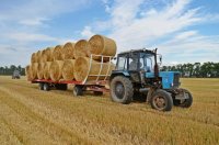 В Туве заготовили более 230 000 тонн кормов