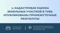 Опубликованы промежуточные результаты кадастровой оценки земельных участков в Туве. До 4 ноября принимаются замечания