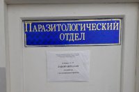 У добытого в Пий-Хемском районе Тувы медведя обнаружен трихинеллёз